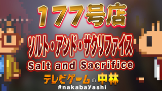 テレビゲームの中林 177号店 ソルト・アンド・サクリファイス/Salt and Sacrifice