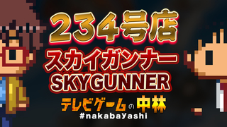 テレビゲームの中林 234号店 スカイガンナー/SKYGUNNER